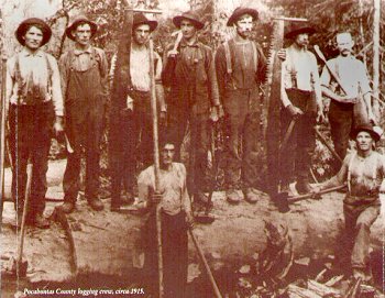 Photo of Pocahontas County logging crew c.1915